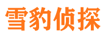 静宁调查公司